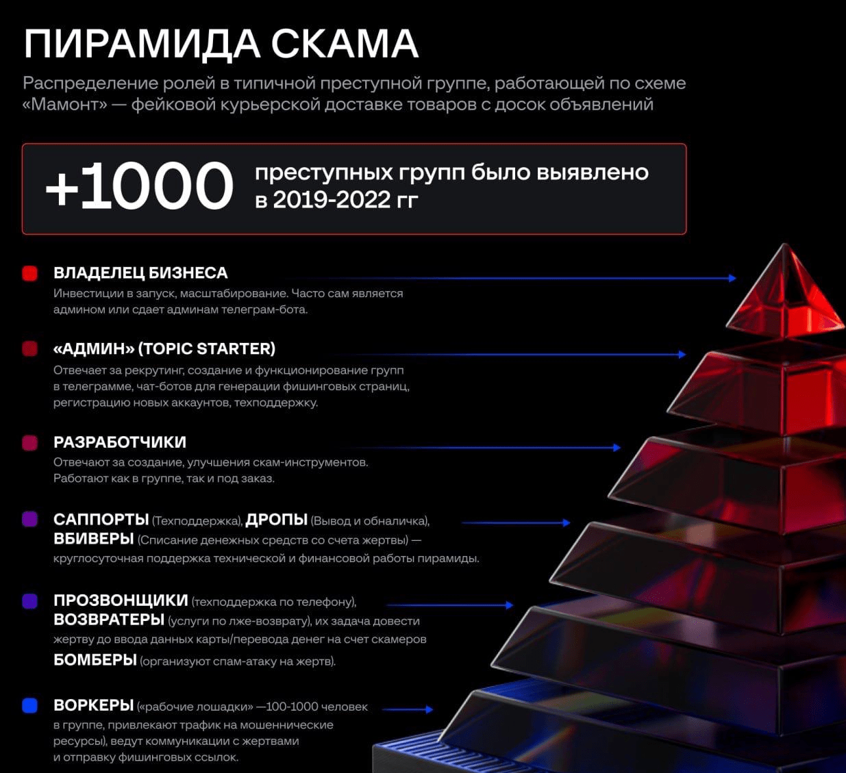 Распределение ролей в преступной схеме “Мамонт”