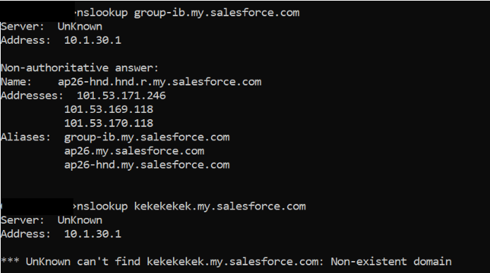 Salesforce домены в коде